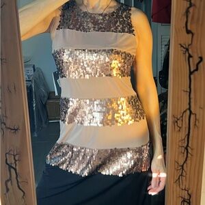 Donna Ricco Taupe Striped Sequin Dress Size 6 Brand New with Tags